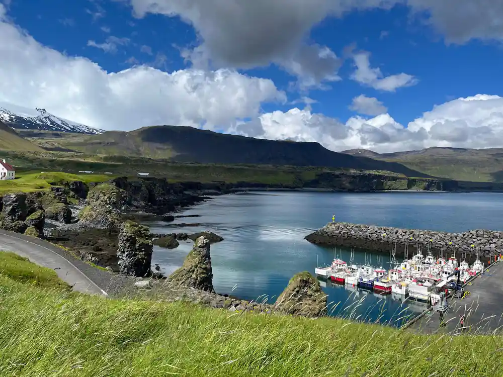 Coastal village with harbor, boats, and surrounding mountains